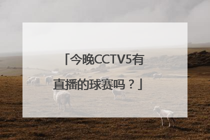 今晚CCTV5有直播的球赛吗？